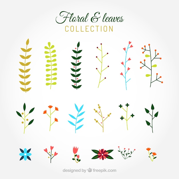 Free Vector colors flowers and leaves collection