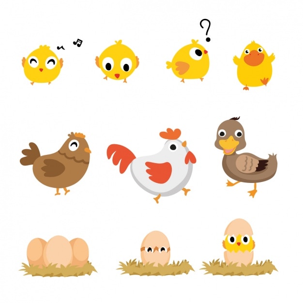 Free Vector coloured birds collection