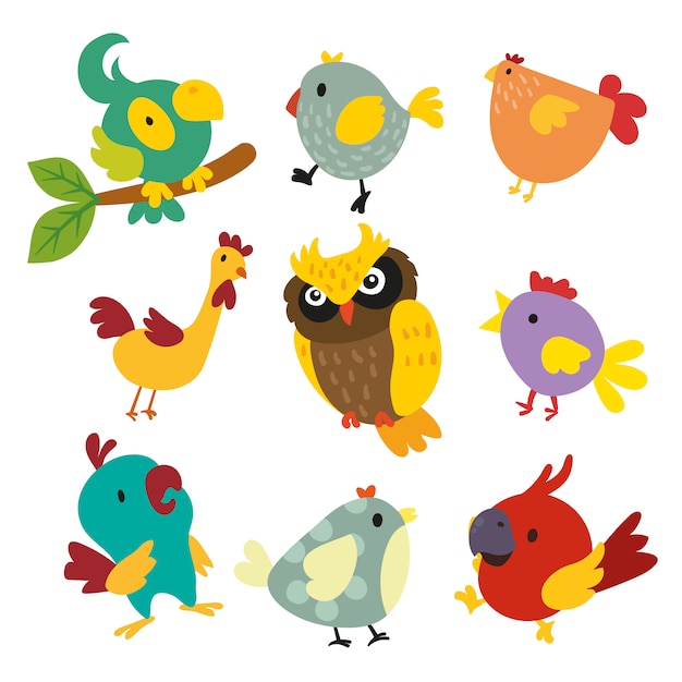 Coloured birds collection