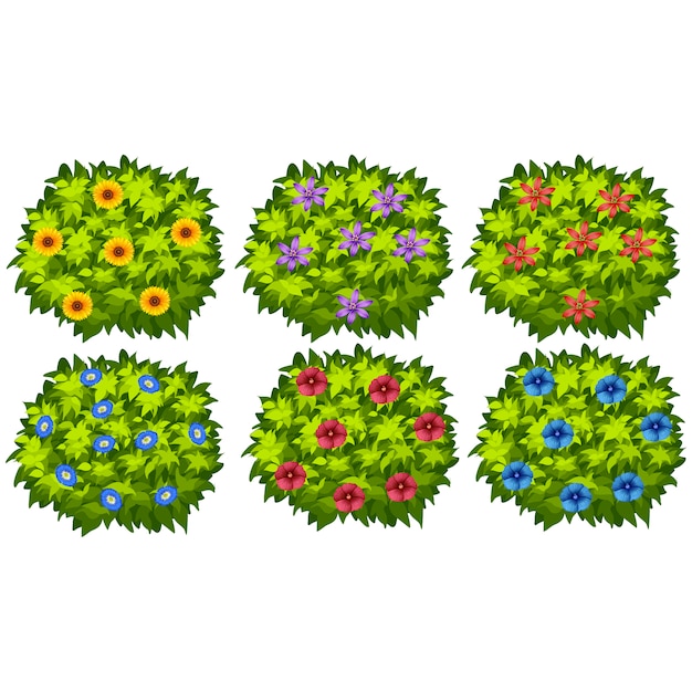 Free Vector coloured bushes collection