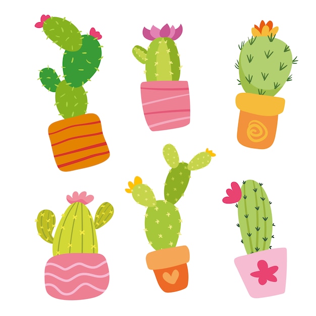 Coloured cactus collection