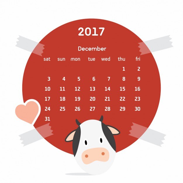 Coloured calendar with a cow