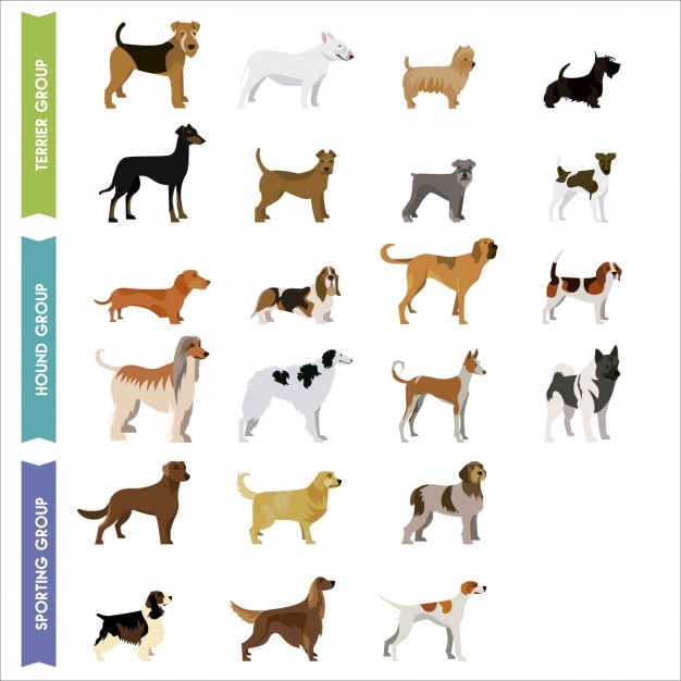 Free Vector coloured dogs collection