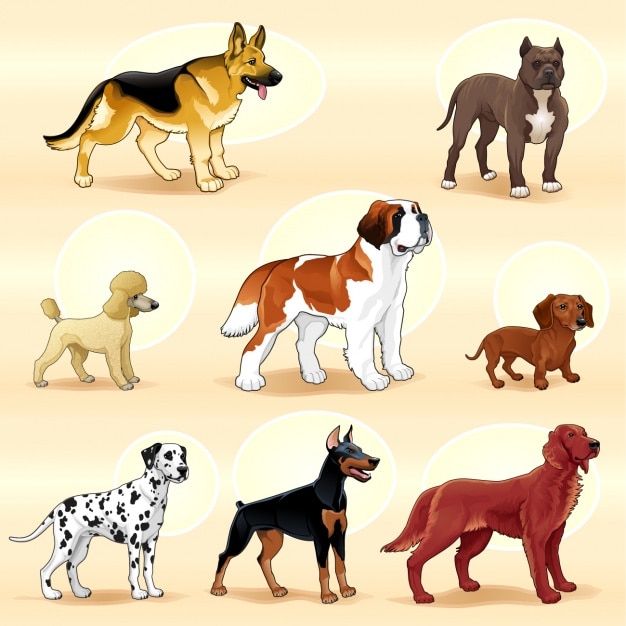 Free Vector coloured dogs collection