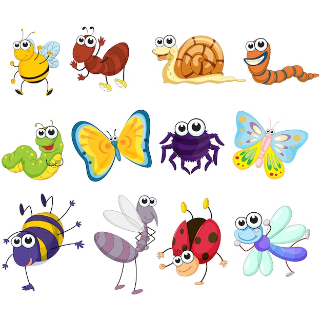 Free vector coloured insects collection