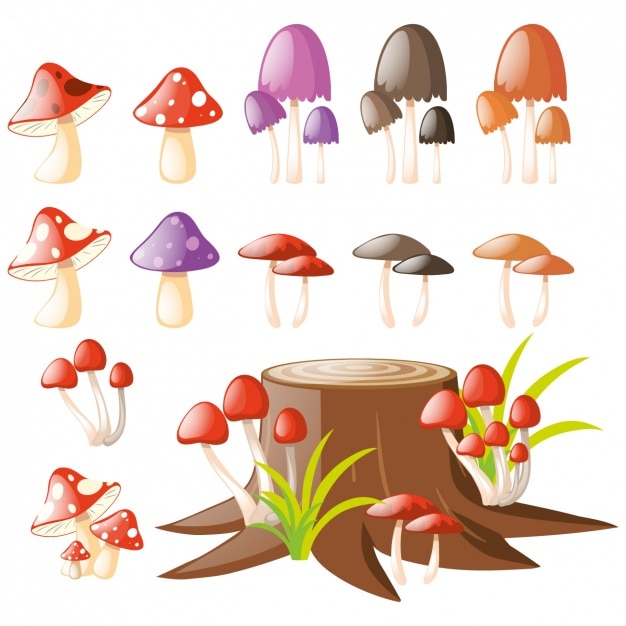 Coloured mushrooms collection