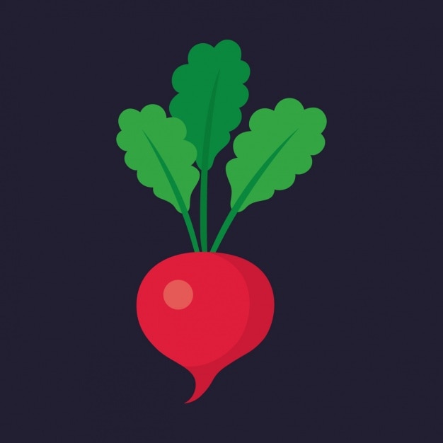 Coloured radish design