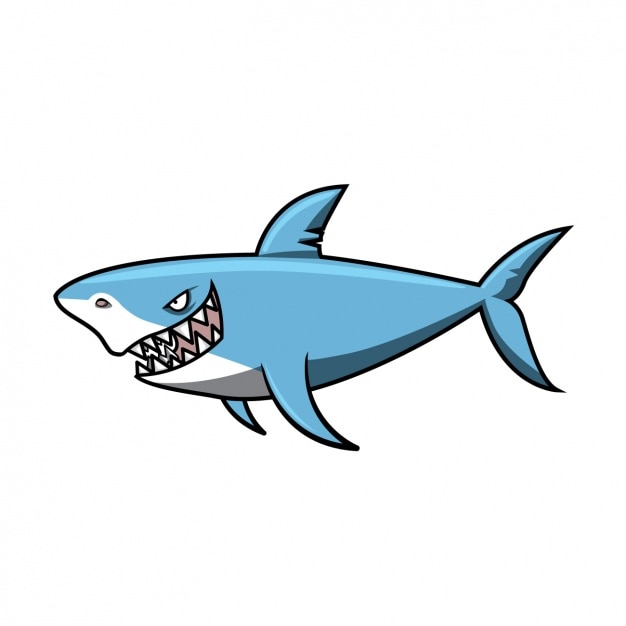 Free Vector coloured shark design