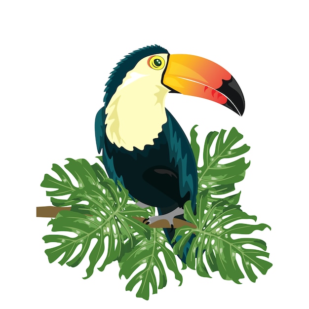 Coloured toucan design