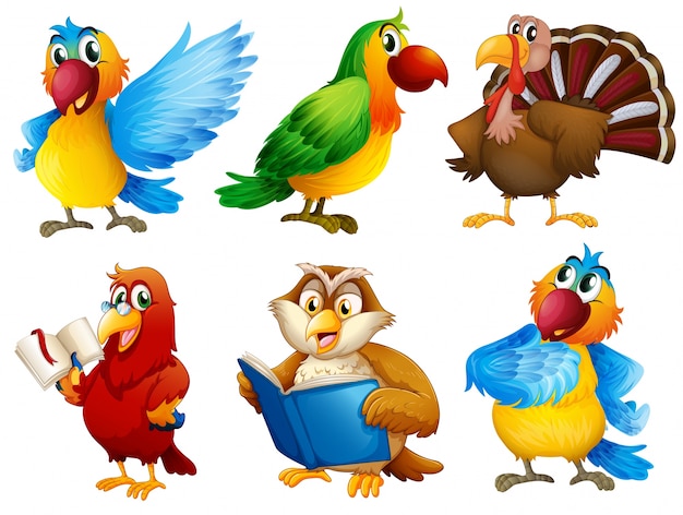 Free vector colourful feathered creatures