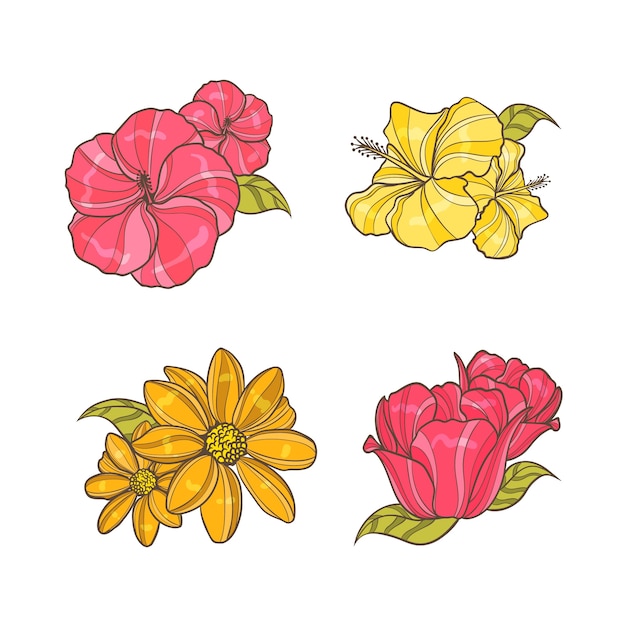 Free Vector colourful hand drawn flowers