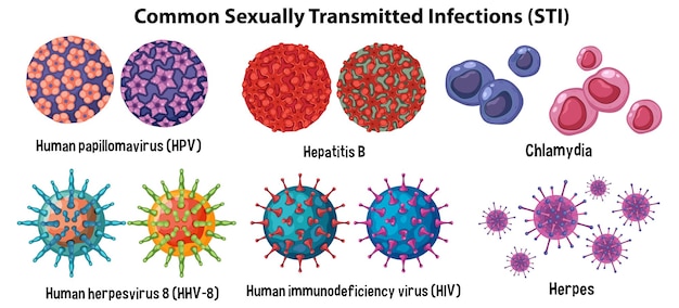 Free Vector common sexually transmitted infections sti