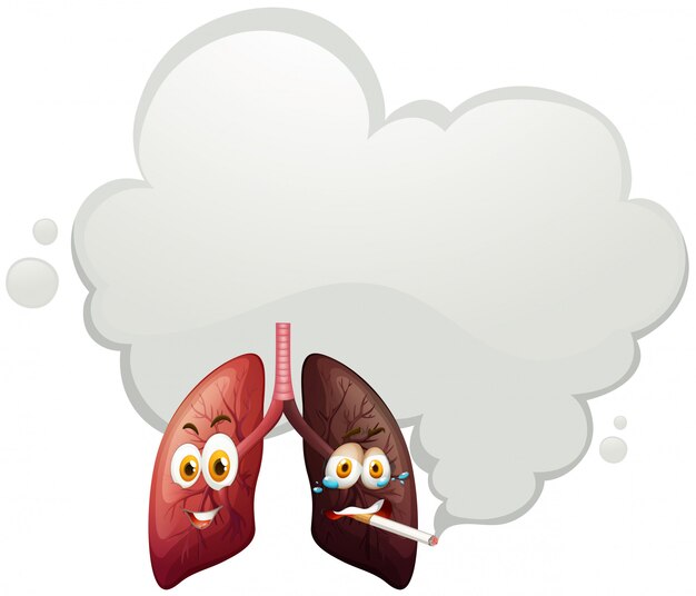 A Comparison of Human Lung