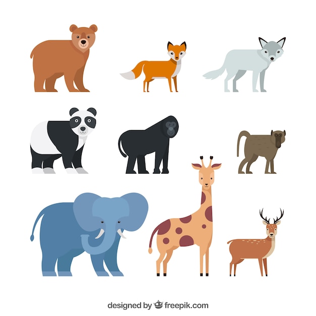 Complete pack of wild animals with flat design