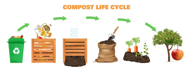 Free Vector compost realistic life cycle concept with ecosystem symbols vector illustration