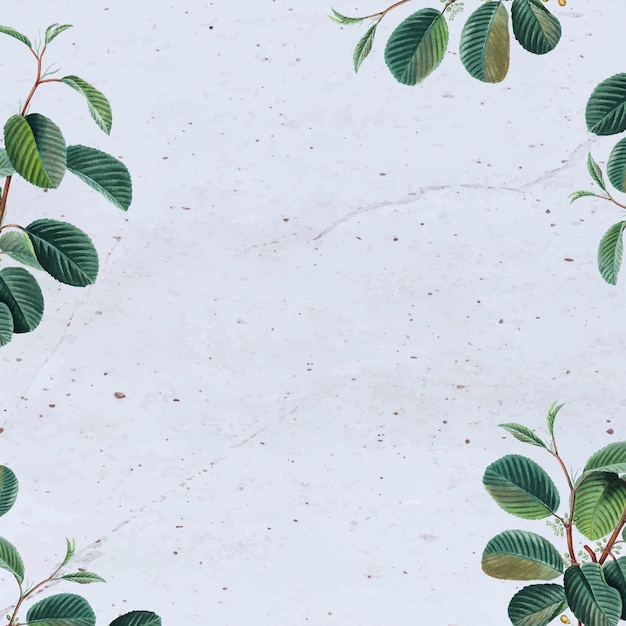 Concrete background with leaves