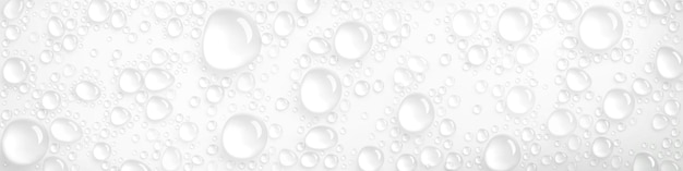 Free Vector condensation water drops on white background rain