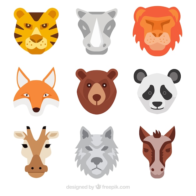 Cool set of flat animal faces