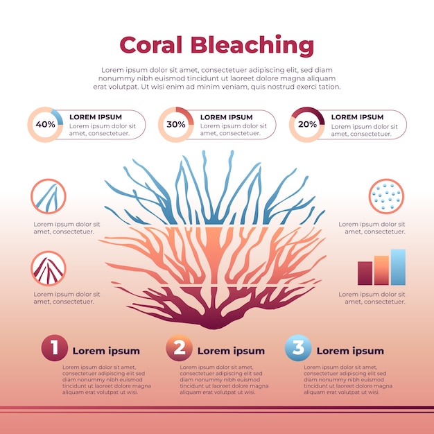 Coral bleaching infographic design