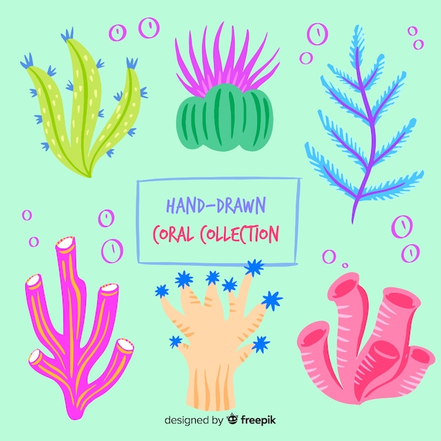 Free Vector coral collection