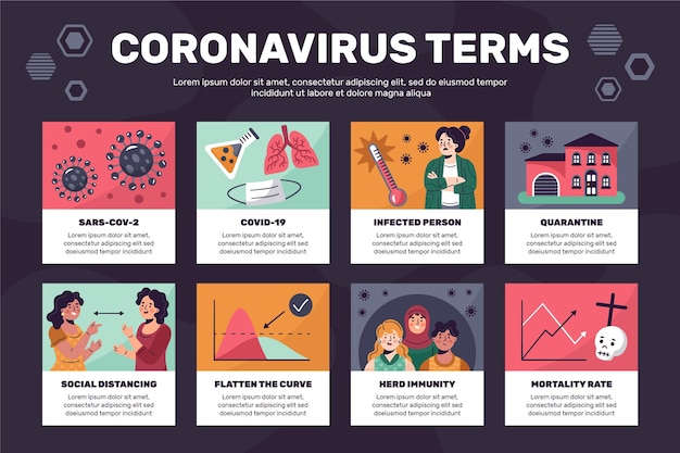 Coronavirus terminology infographic