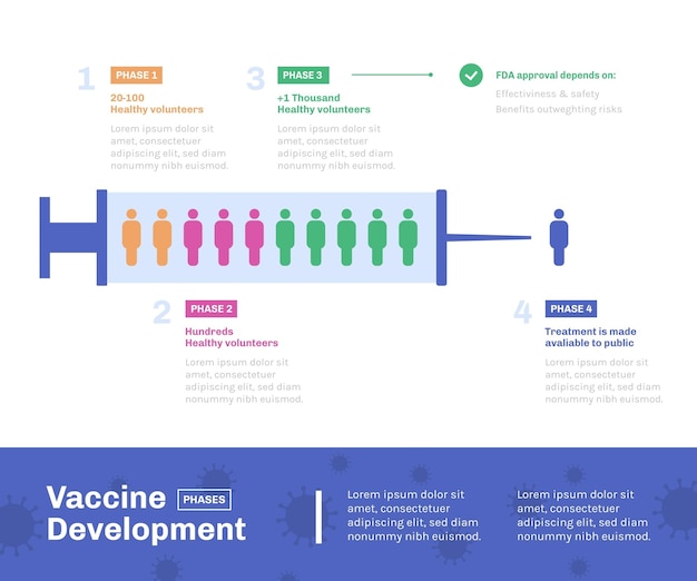 Free Vector coronavirus vaccine phases infographic flat design