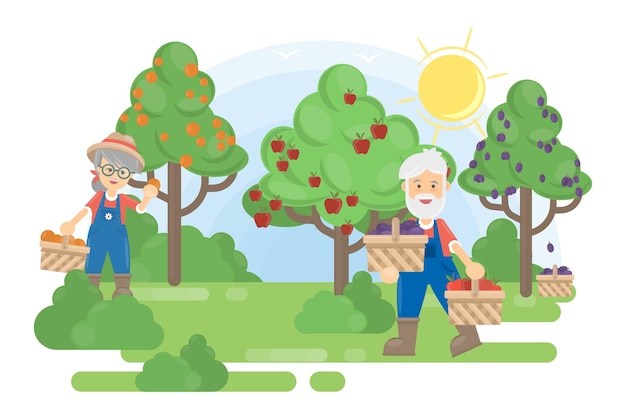 Free Vector couple in garden senior farmers grow the trees with fruits