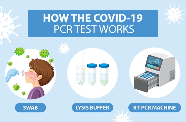 Covid 19 testing with RTPCR machine