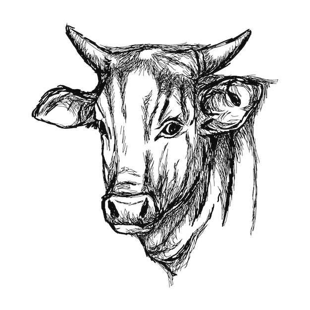 Free Vector cow farm animal head icon