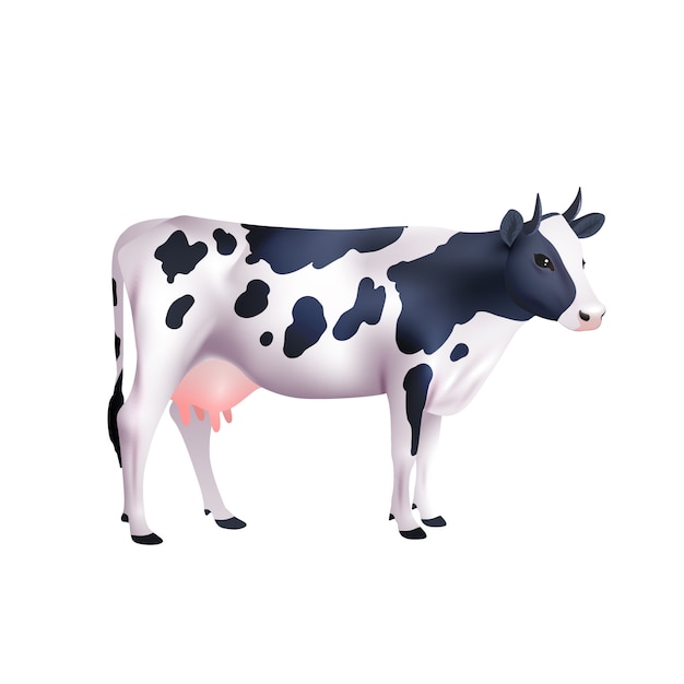 Cow Realistic Illustration