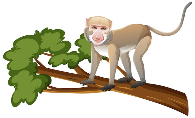 Free Vector crab-eating macaque or monkey on tree branch in cartoon style on white background