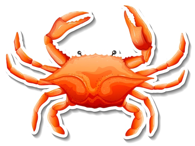 Crab sea animal cartoon sticker