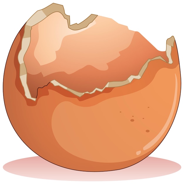 Free Vector cracked egg on white background