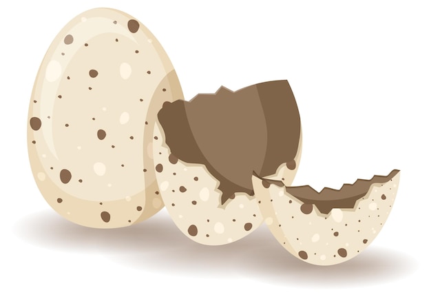 Free Vector cracking eggs on white background