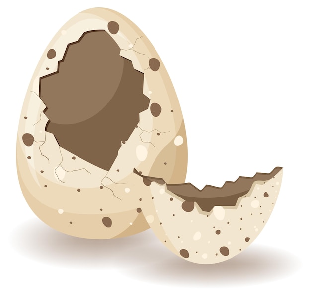 Free Vector cracking eggs on white background