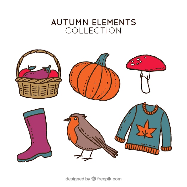 Creative autumn elements collection