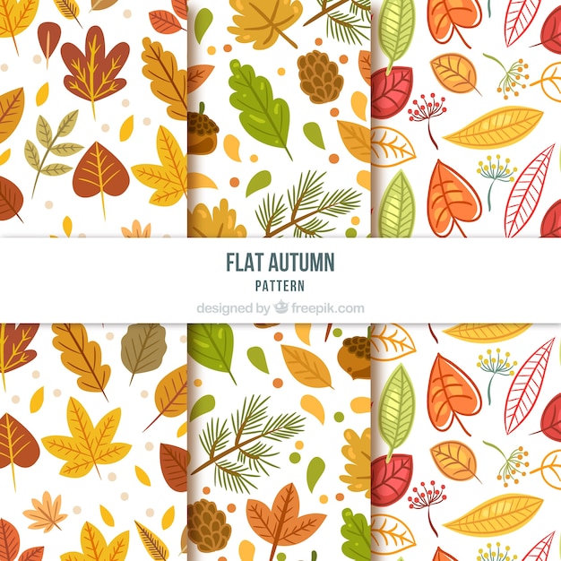 Creative autumn pattern collection