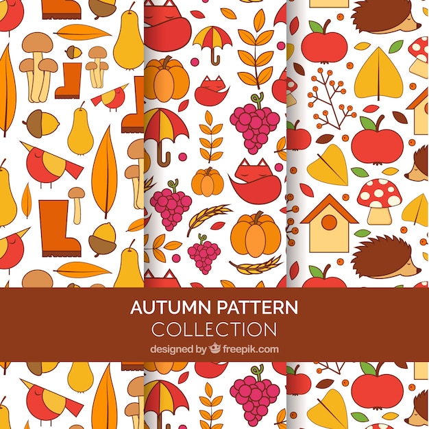 Creative autumn pattern collection