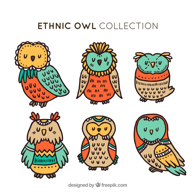 Free Vector creative ethnic owl set