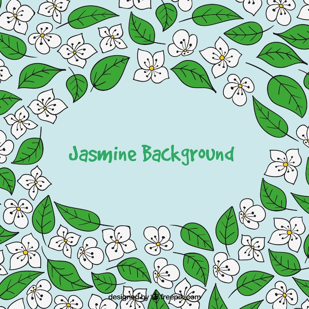 Free Vector creative jasmine background