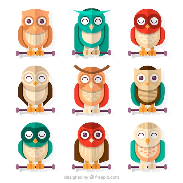 Free Vector creative owl collection