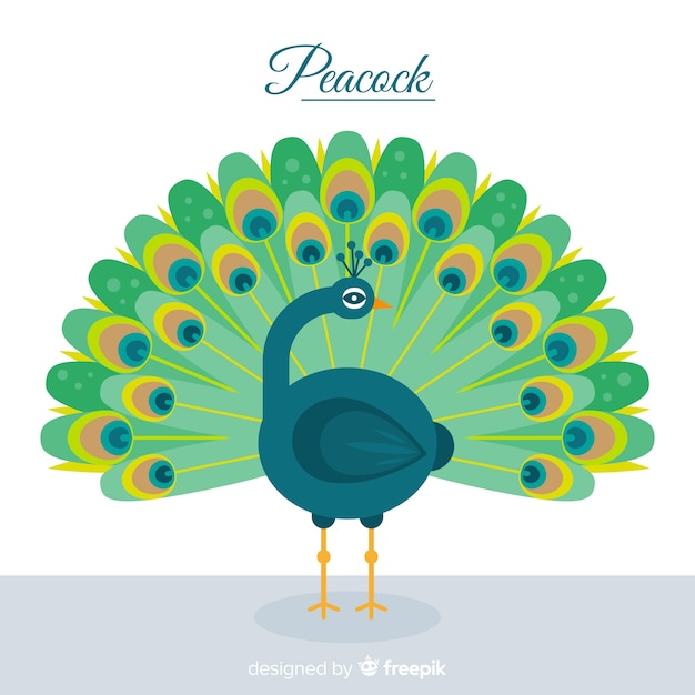 Free Vector creative peacock design