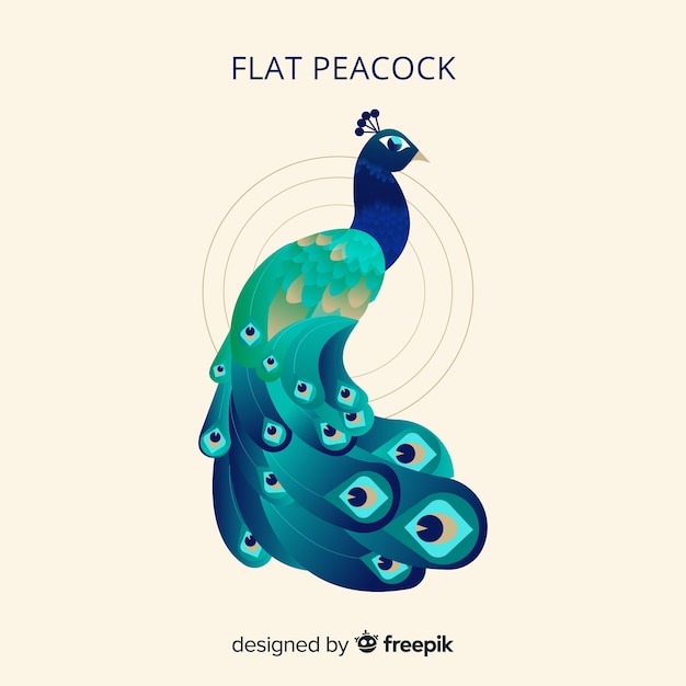 Creative peacock design