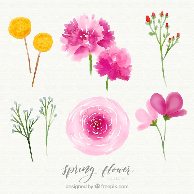 Creative watercolor spring flower set