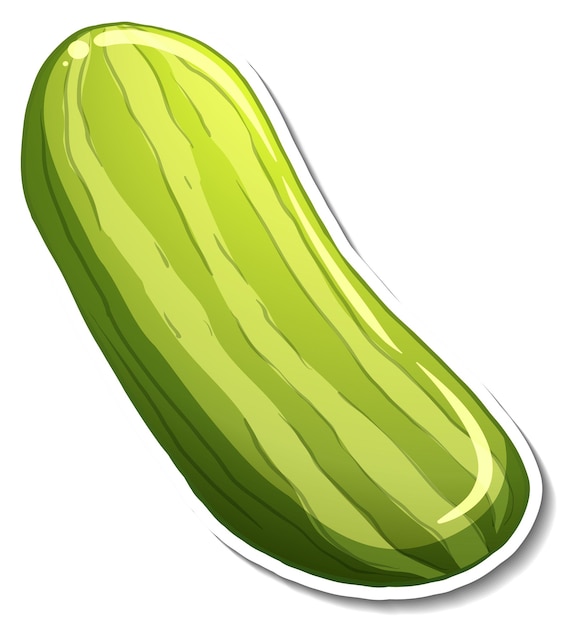 Cucumber sticker on white background