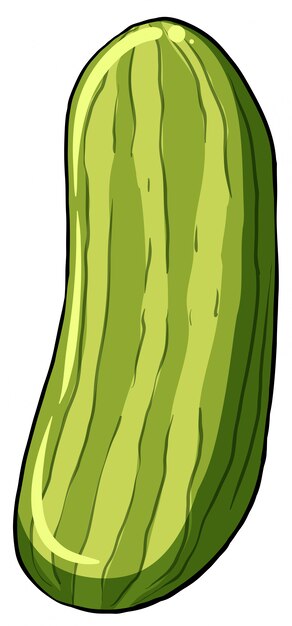 A cucumber