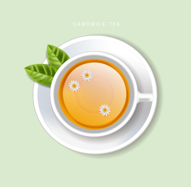 Cup of tea vector realistic. Top view 3d illustrations