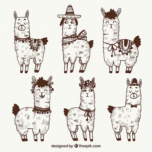 Free Vector cute alpacas collection