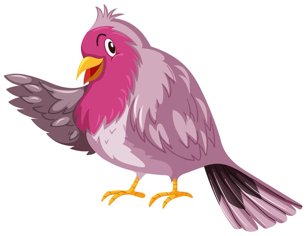 Cute bird with pink feather