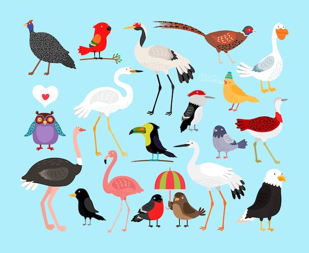 Cute birds illustration set